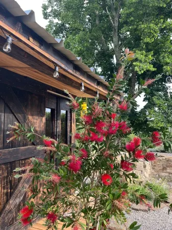 A haven of peace in the Massif des Maures in the Var region of France