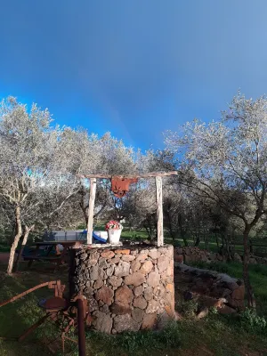 Lovely apartment in the middle of the green farm( 8)