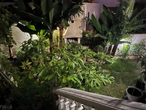 Luxurious villa with swimming pool and garden and terrace,city center of Tangier