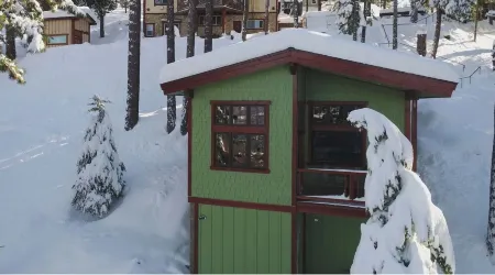 Custom Cottage, Fireplace, Views, A/C, Private Deck, Central to Yosemite Park