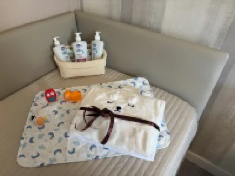 Samsara Apartment elegant apartment in the historical center.