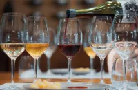 Altos de la Viña, Wine Hotel & Spa - bar