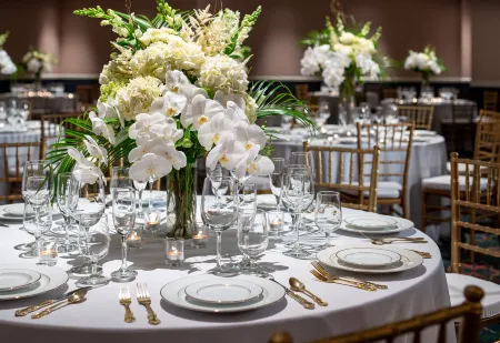 Graduate by Hilton Fayetteville AR