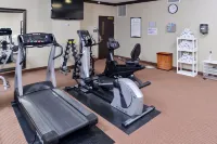 Staybridge Suites O'Fallon Chesterfield by IHG - Træningscentre