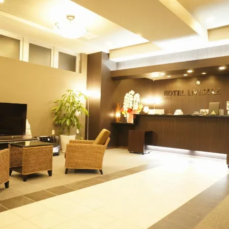 HOTEL LiVEMAX Himeji Ekimae