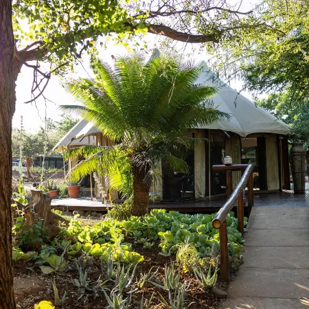 Karongwe - Chisomo Safari Camp