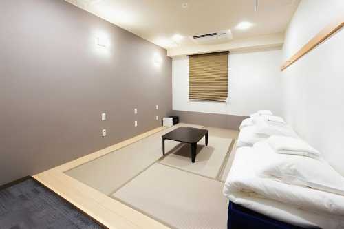 Wild Cherry Blossom-Hostel,Tokyo Koganei-
