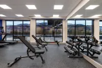 Holiday Inn Express & Suites Steamboat Springs by IHG - Gym
