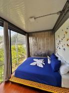 Capsule Pupa House