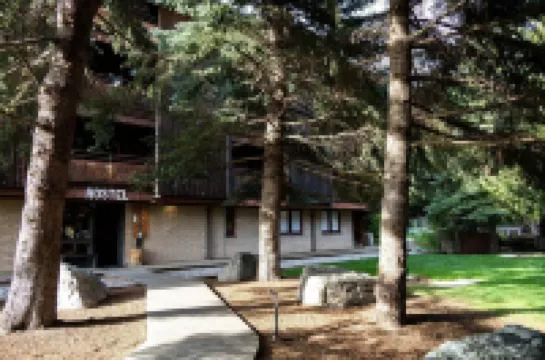 The Hostel Hotels in 