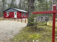 Island Getaway! Nestled in the woods with easy access to sandy beach