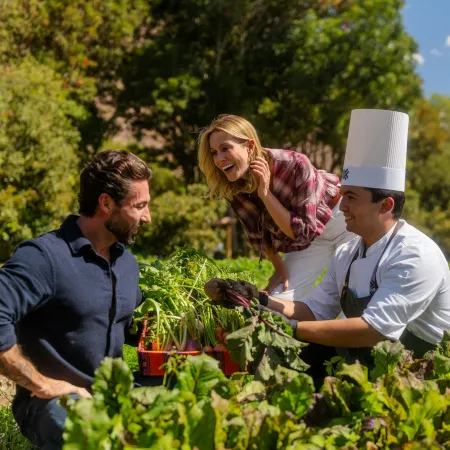 Tambo del Inka, a Luxury Collection Resort & Spa, Valle Sagrado
