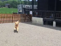 コンセプトコテージ　和み舎ひるがの