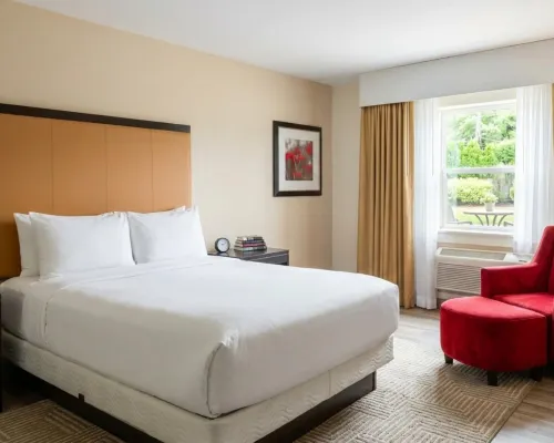 University Inn of Carbondale Hotels in Jackson County