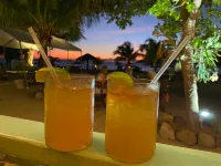歐瓦麗海灘度假村 - 酒吧