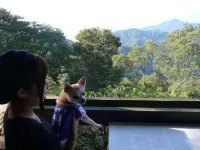 Komatsuya Hachinobou - Mountain view