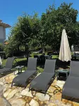 Sirius Star - Pet Friendly