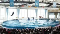 Kamenoi Hotel Oarai - Pools
