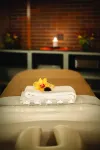 The Hyatt Lodge at Oak Brook - spa