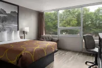 Super 8 by Wyndham Great Falls City Center - Wifi