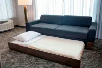 SpringHill Suites by Marriott Orlando Theme Parks/Lake Buena Vista - Kitchens