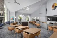 Homewood Suites by Hilton Raleigh - Durham AP/Research Triangle - Yüzme Havuzu