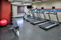 Hampton Inn & Suites Rifle - Gym