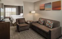 Staybridge Suites DENVER TECH CENTER by IHG - Kitchen