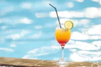 Sagana Getaway Resort - bar