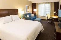 Hilton Garden Inn Sioux Falls Downtown - bar