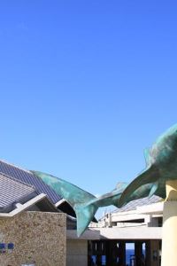 名護のおすすめコテージを格安価格で宿泊予約 Trip Com 名護のおすすめコテージを格安価格で宿泊予約 Trip Com
