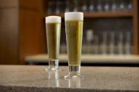 Hyatt Place Tampa/Wesley Chapel - bar