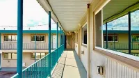 Silver Star Motel فنادق في فيرنون