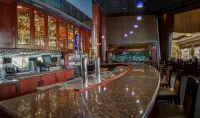 Rosen Centre Hotel Orlando Convention Center - Baarit