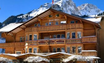 Chalet Hotel Adler AG