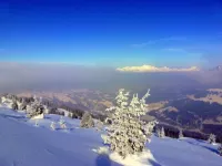 Landgasthof Sommerfeld Hotels in Jenaz