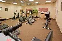 Holiday Inn Express SALTILLO ZONA AEROPUERTO by IHG - Gym