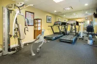 Holiday Inn Express & Suites RICHMOND by IHG - Gym