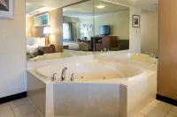 Clarion Hotel Detroit Metro Airport - badewanne