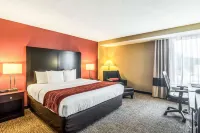 Spark by Hilton Des Plaines Chicago O'Hare Hotels in Des Plaines
