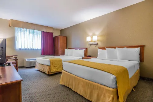 Quality Inn Hyde Park Poughkeepsie North - Wifi