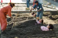 노가미혼칸 료칸 - 무료 와이파이