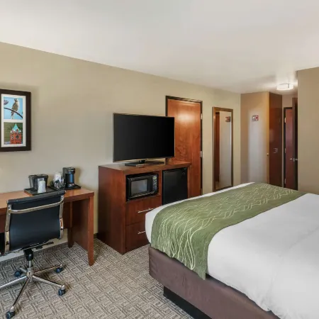 Comfort Inn University