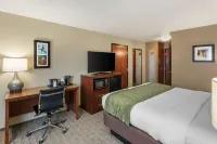 Comfort Inn University
