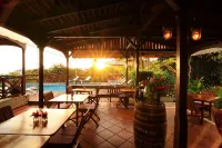 Jardin Malanga