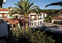 Anamar Zante Hotel Hotels in Argassi
