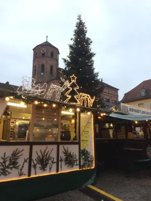Schlossberg-Homburg GmbH Hotels in 