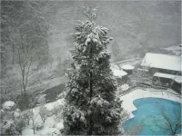 Shima Tamura - Pools