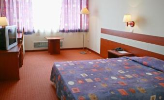 a hotel room with a bed , curtains , and a window , along with a desk and nightstand at Hotel Bulgaria