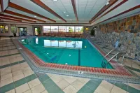 Carson Valley Motor Lodge and Suites - Swimmingpools